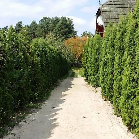 Brochów Wyspa Kampinos מראה חיצוני תמונה