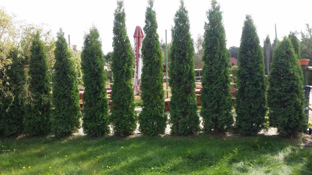 Brochów Wyspa Kampinos מראה חיצוני תמונה