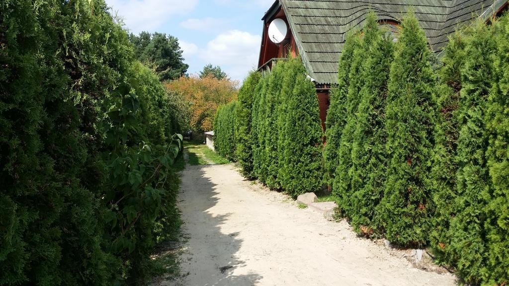 Brochów Wyspa Kampinos מראה חיצוני תמונה
